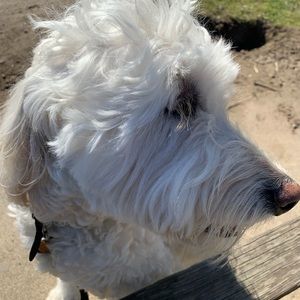 Meet your Posher, Kim